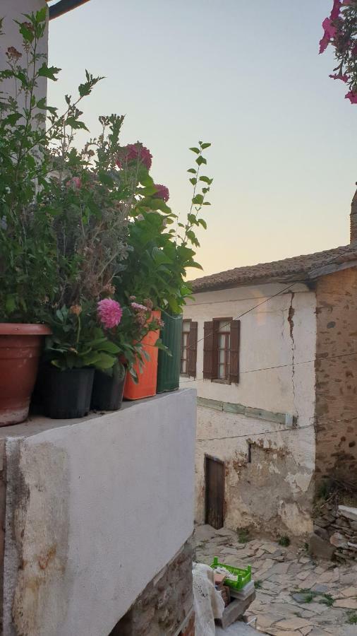 Sirin Ev Pansiyon Selcuk ภายนอก รูปภาพ